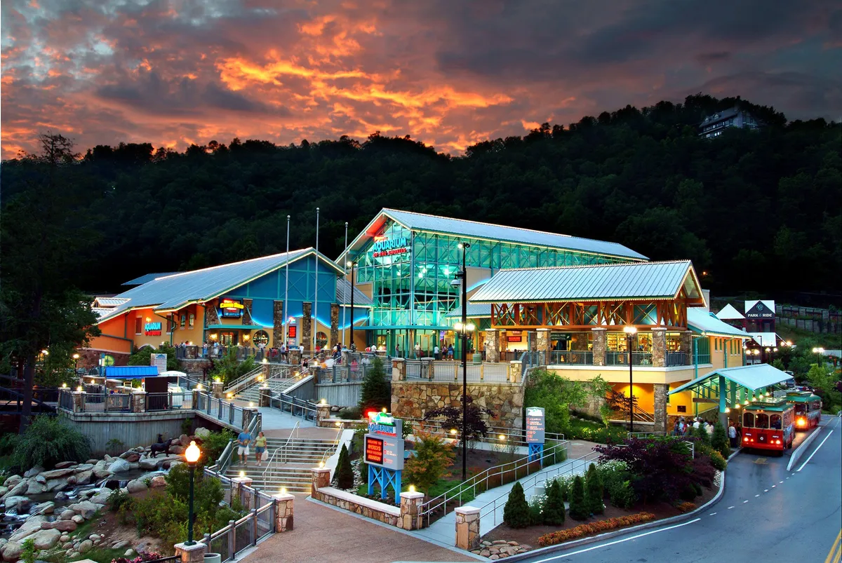 A vibrant exterior scene featuring a glass facade lit by sunset, colorful signage, outdoor seating, and lush greenery. The energetic mood and visible crowds evoke the spirit of local attractions and social experiences.
