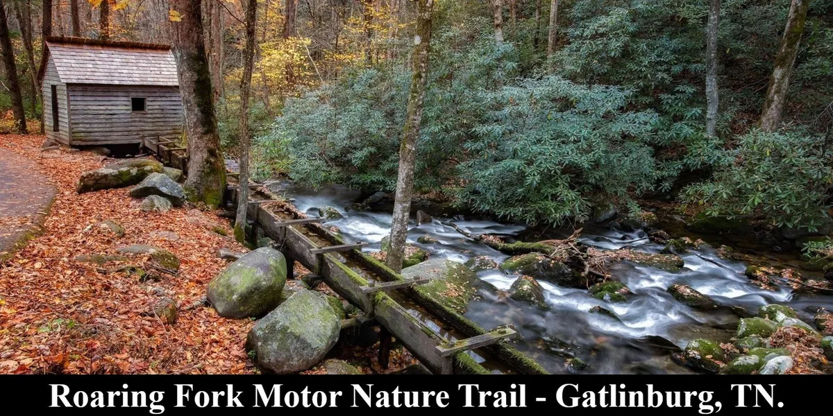 This tranquil view captures a small wooden cabin beside a flowing stream, with vibrant autumn foliage and a rocky path. The scene invites thoughts of hiking, picnicking, and immersing oneself in nature.